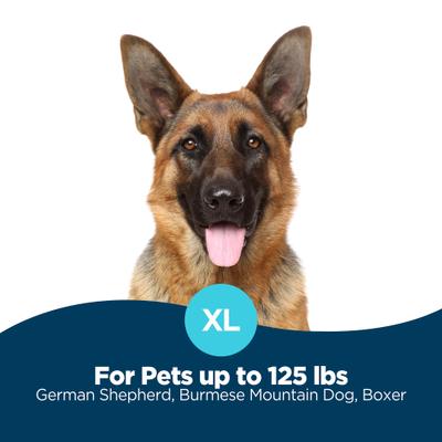 Show full view: La-Z-Boy Harper Furniture Sofa Dog Bed with Removable Cover, Smoke, Large slide 6 of 7