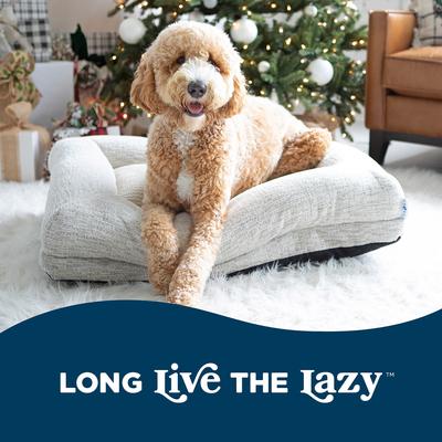 Show full view: La-Z-Boy Petmate Rosie Lounger Dog Bed, Large, Cream slide 3 of 7