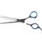 Show in main carousel: Laazar Pro Shear 42 Teeth Thinning Dog Scissors slide 4 of 8