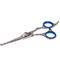 Show in main carousel: Laazar Pro Shear Straight & Safety Round Tips Dog Grooming Scissors, 5.5-in slide 1 of 4