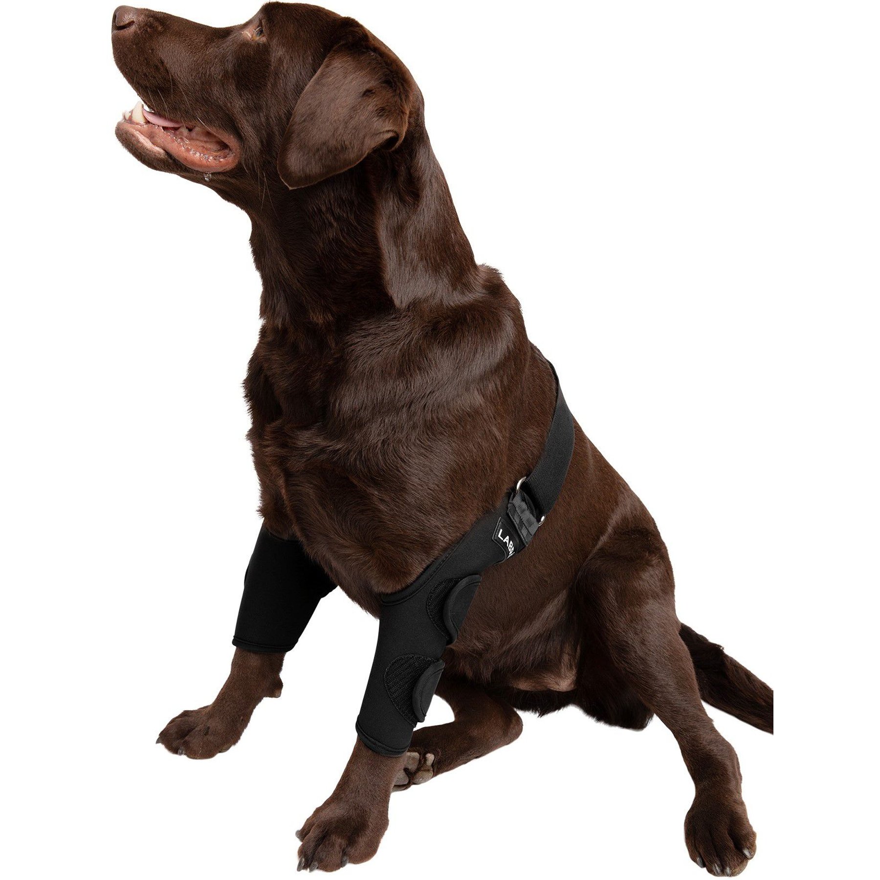 Labra Canine Dual Shoulder Elbow Dog Brace Wrap, Medium