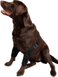 Labra Canine Dual Shoulder Elbow Dog Brace Wrap, Small