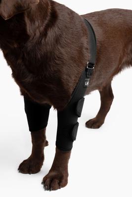 Show full view: Labra Canine Dual Shoulder Elbow Dog Brace Wrap, Small slide 3 of 10
