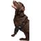 Show in main carousel: Labra Canine Dual Shoulder Elbow Dog Brace Wrap, Small slide 4 of 10