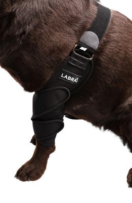 Show full view: Labra Canine Dual Shoulder Elbow Dog Brace Wrap, Small slide 5 of 10
