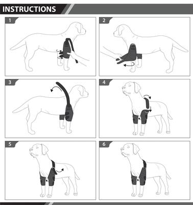 Show full view: Labra Canine Dual Shoulder Elbow Dog Brace Wrap, Small slide 9 of 10