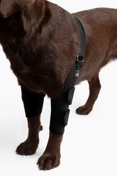 Labra Canine Dual Shoulder Elbow Dog Brace Wrap, X-Large slide 2 of 8