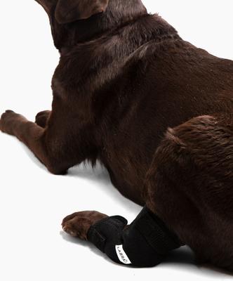 Show full view: Labra Canine Heat Cold Therapy Dog Leg Wrap, Large slide 5 of 5