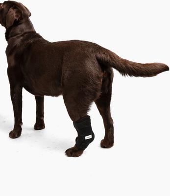 Show full view: Labra Canine Heat Cold Therapy Dog Leg Wrap, Medium slide 4 of 5