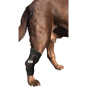 Labra Canine Heat Cold Therapy Dog Leg Wrap, Small