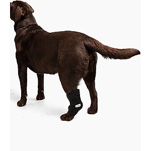 Labra Canine Heat Cold Therapy Dog Leg Wrap, Small