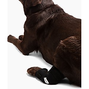 Labra Canine Heat Cold Therapy Dog Leg Wrap, Small