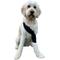 Show in main carousel: Labra Canine Shoulder Elbow Brace Left Leg Dog Wrap, Large slide 1 of 11