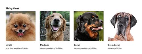 Show full view: Labra Canine Shoulder Elbow Brace Left Leg Dog Wrap, Large slide 8 of 11