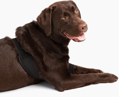 Show full view: Labra Canine Shoulder Elbow Brace Left Leg Dog Wrap, Medium slide 7 of 11