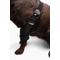 Show in main carousel: Labra Canine Shoulder Elbow Brace Left Leg Dog Wrap, Small slide 8 of 11