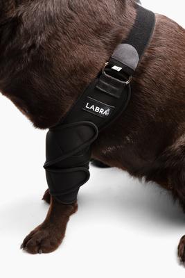 Show full view: Labra Canine Shoulder Elbow Brace Left Leg Dog Wrap, Small slide 8 of 11