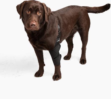 Show full view: Labra Canine Shoulder Elbow Brace Left Leg Dog Wrap, Small slide 9 of 11