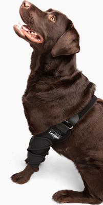Show full view: Labra Canine Shoulder Elbow Brace Left Leg Dog Wrap, X-Large slide 10 of 11