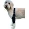 Show in main carousel: Labra Canine Shoulder Elbow Brace Right Leg Dog Wrap, Large slide 7 of 10