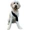 Show in main carousel: Labra Canine Shoulder Elbow Brace Right Leg Dog Wrap, Large slide 8 of 10