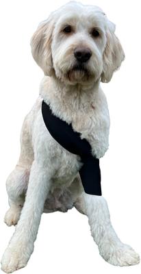 Show full view: Labra Canine Shoulder Elbow Brace Right Leg Dog Wrap, Large slide 8 of 10