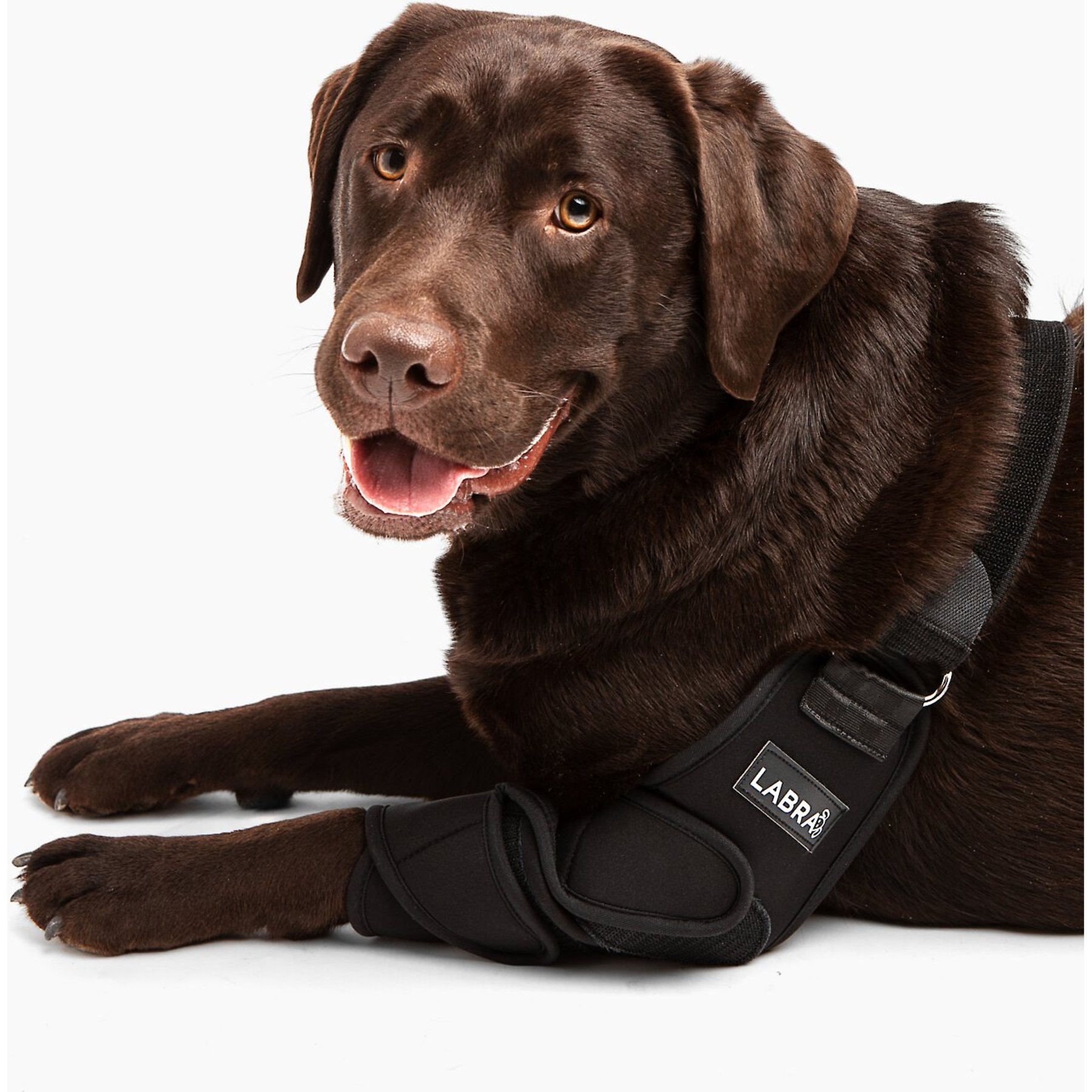 Labra Canine Shoulder Elbow Brace Right Leg Dog Wrap, Medium