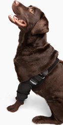 Labra Canine Shoulder Elbow Brace Right Leg Dog Wrap, Medium slide 2 of 9