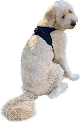 Show full view: Labra Dog Chest Harness, Large slide 4 of 5