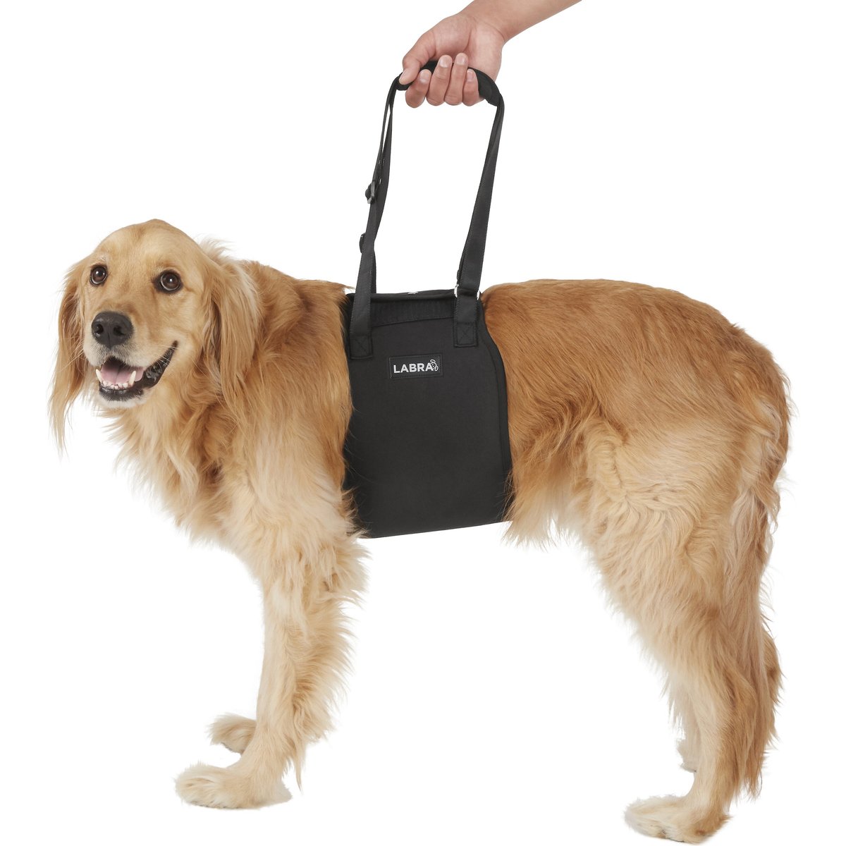 Labra Dog Support Sling, Large