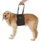 Show in main carousel: Labra Dog Support Sling, Large slide 1 of 6