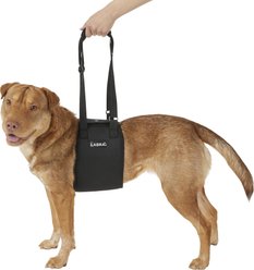 Labra Dog Support Sling, Medium