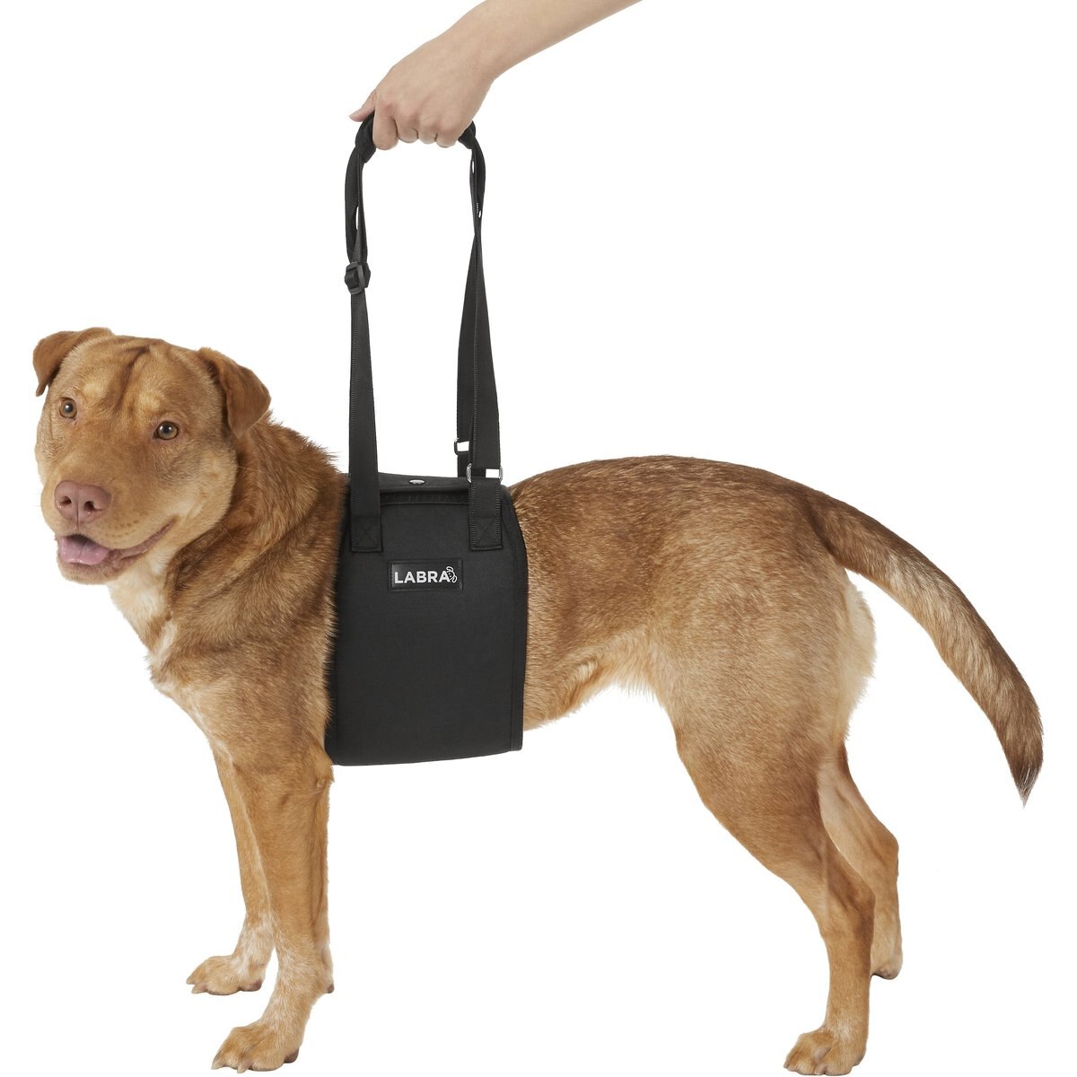Labra Dog Support Sling, Medium