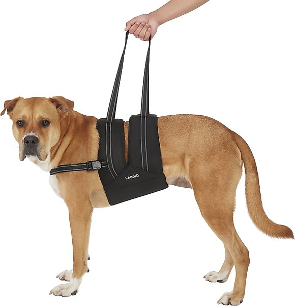 Labra Dog Support Sling with Chest Strap