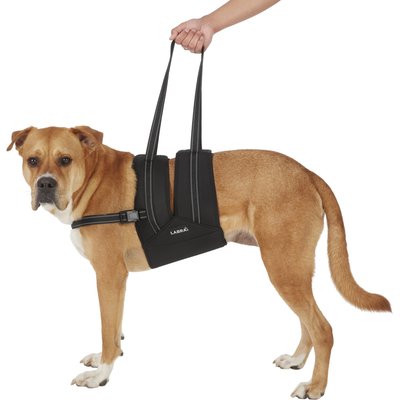 Labra Labra Dog Support Sling with Chest Strap, X-Large