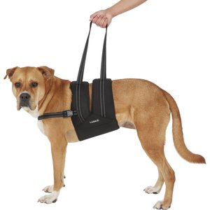 LABRA Dog Support Sling with Chest Strap, XX-Large - Chewy.com