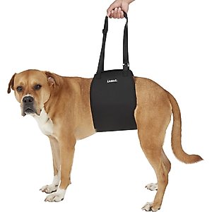 Labra Dog Support Sling, X-Large