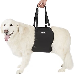 NeoAlly Full Body Lift Support Sling & Mobility Aid Dog Harness, Black