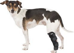 Labra Extra Supportive Dog Hock Brace, Small