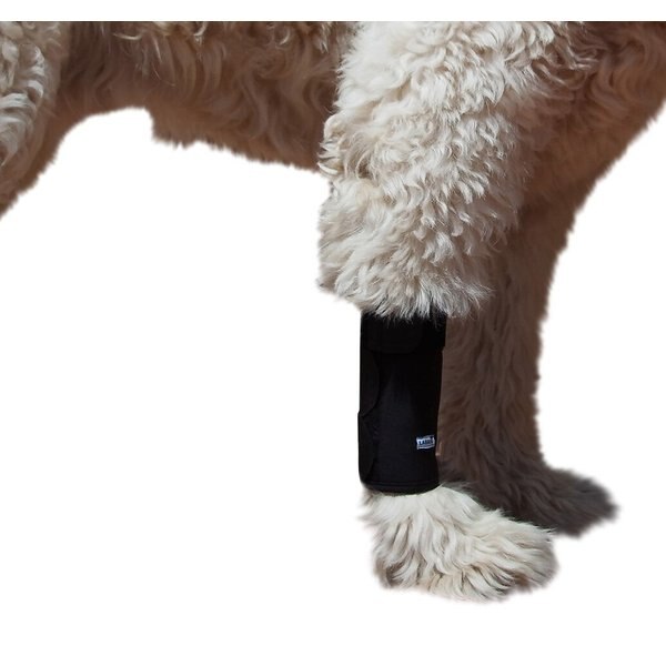 AGON Front Leg Brace & Wound Protection Paw Compression & Wrap for Dogs ...