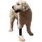 Show in main carousel: Labra Extra Supportive Front Leg Dog Wrap, Large/X-Large slide 3 of 5