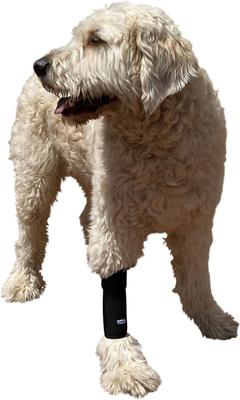 Show full view: Labra Extra Supportive Front Leg Dog Wrap, Large/X-Large slide 3 of 5