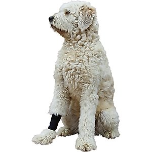 Labra Extra Supportive Front Leg Dog Wrap, Small/Medium