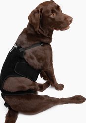 Labra IVDD, Spine Injury & Arthritis Dog Back Brace, Large