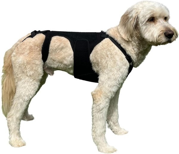LABRA IVDD, Spine Injury & Arthritis Dog Back Brace, Medium - Chewy.com