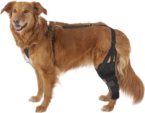 Labra Left Leg Dog Knee Brace