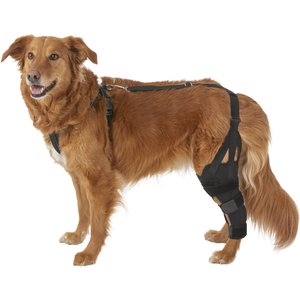 Labra Left Leg Dog Knee Brace, Large