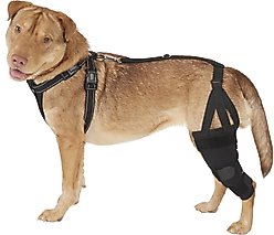 Labra Left Leg Dog Knee Brace, Medium