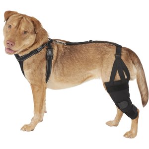 Labra Left Leg Dog Knee Brace, Medium