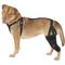 Show in main carousel: Labra Left Leg Dog Knee Brace, Medium slide 1 of 7